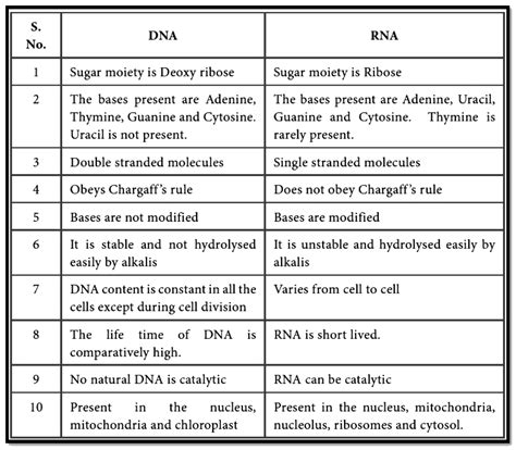 What is the difference between RNA and DNA with respect to their functions?