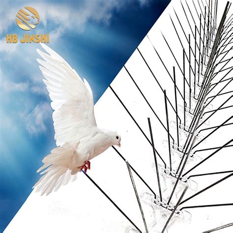 5m Long Plastic Pigeon Control Spikes Anti Bird Spikes - China Bird ...