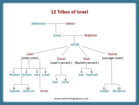 Related image | Bible genealogy, Bible family tree, 12 tribes of israel