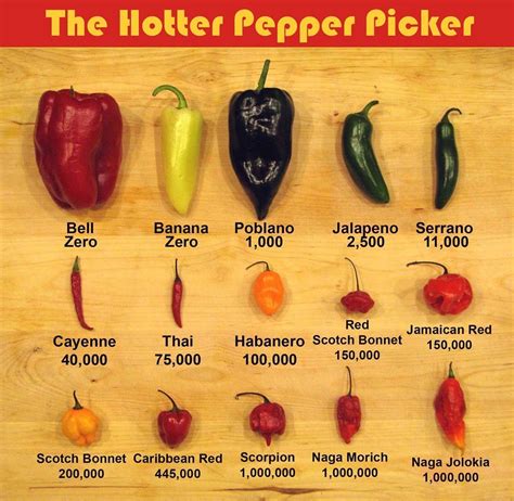 Sale > chili powder heat scale > in stock