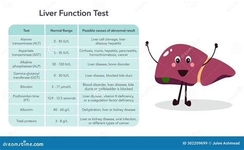 Liver Function Liver Enzymes Blood Test Medical Vector Illustration ...