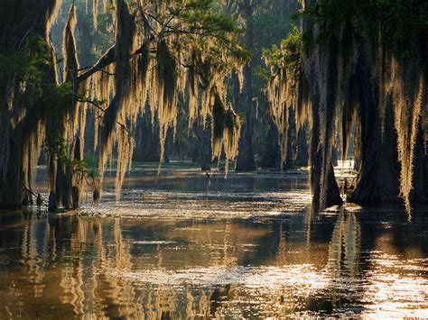 How to Fish for Catfish in Louisiana: The Complete Guide for 2024