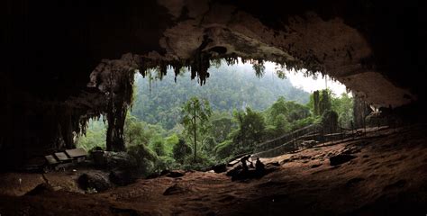 borneo caves | the great cave in niah national park in sarawak malaysia ...