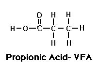 Fatty Acids in Cows