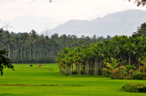 Wayanad, Kerala - First Impressions