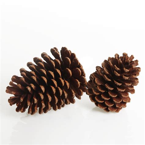 Natural Pine Cone| The Christmas Cart | Buy Online Australia