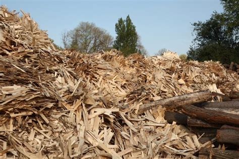 Doosan Lentjes to build wood combustion facility in Germany | Bioenergy ...