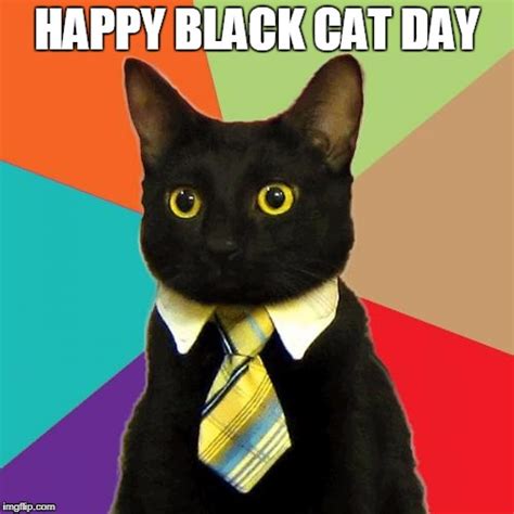 Black Cat Picture Day - Imgflip