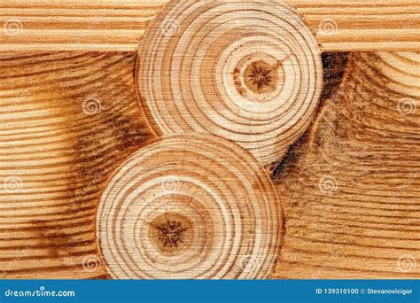 Pine Wood Knot Repaired with Wooden Plug Stock Photo - Image of ...