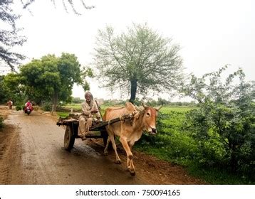 Categoría «Haryana village» de fotos e imágenes | Shutterstock