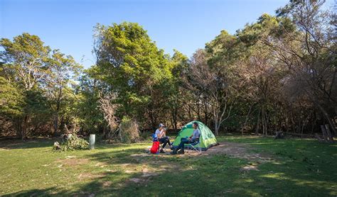 Best South Coast NSW campgrounds | NSW National Parks