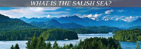 Panel discusses threats to the Salish Sea - The Orcasonian : The voice ...