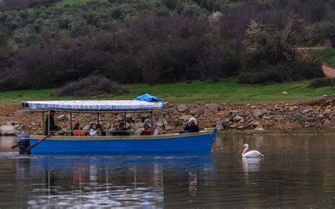 Lake Kerkini | ΗΤΑΥΡΟΣ