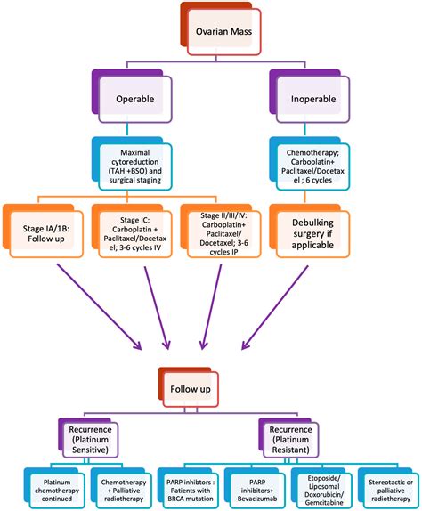 Cancers | Free Full-Text | An Overview of Ovarian Cancer: The Role of ...