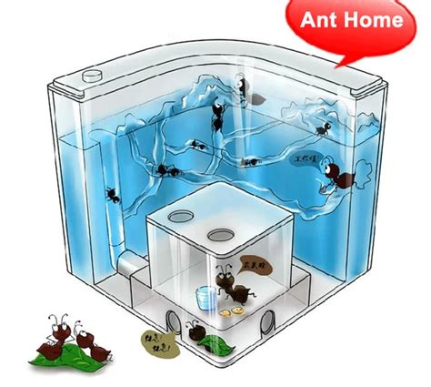 new Novelty Ant Home = Ant Villa + Ant Farm ecological toys backlight ...