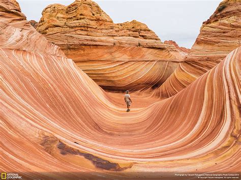 National Geographic: Las mejores fotos del concurso 2014, simplemente ...