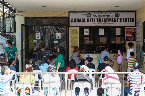 Davao City Animal Bite Treatment Center reminds public to take rabies ...