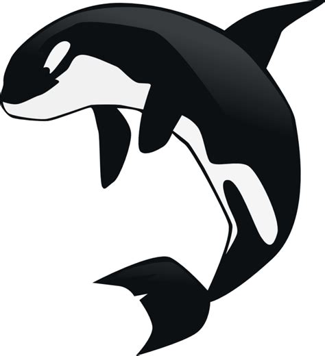 Orca clipart 4 - WikiClipArt