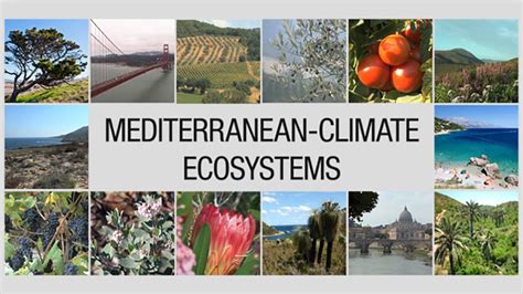 Mediterranean-Climate Ecosystems - UCTV - University of California ...