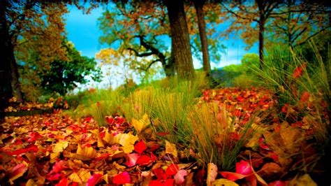 Wallpaper 3840 2160 Autumn