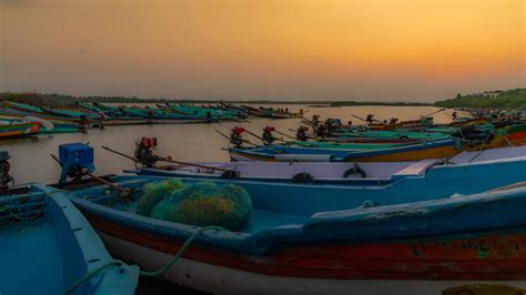 Cuddalore | Tamil Nadu