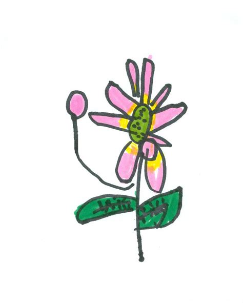 Art for Small Hands: Drawing - Flowers