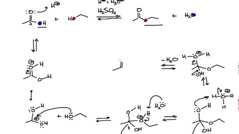 Esterification Mechanism