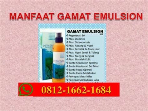 Manfaat Gamat Extract Emulsion K Link, HP/WA 0812-1662-1684 (T-Sel ...