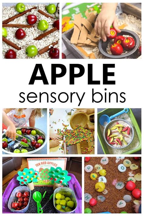 12 Amazing Apple Sensory Bins for Preschool - Fantastic Fun & Learning ...