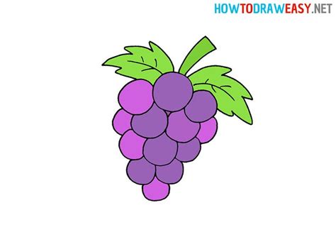 How to Draw a Cartoon Grapes | Grape drawing, Drawings, Draw