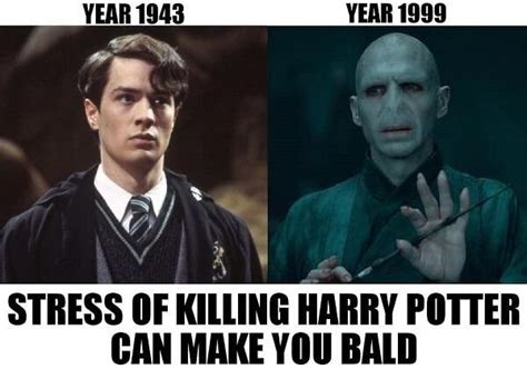 60 Funny Harry Potter Memes - Meme Central