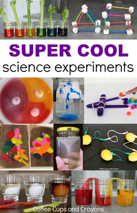 Fun Science Experiments With Simple Home Materials - Fun Guest