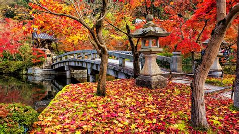 Download Japan Fall Man Made Bridge 4k Ultra HD Wallpaper