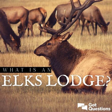 What is an Elks Lodge / Elks Club? | GotQuestions.org