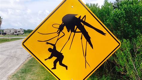 Sign with massive mosquito missing from Brazoria Co. park - ABC13 Houston