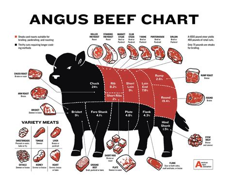 Beginner's Guide to Beef Cuts, Angus Beef Butcher Chart Laminated Wall ...