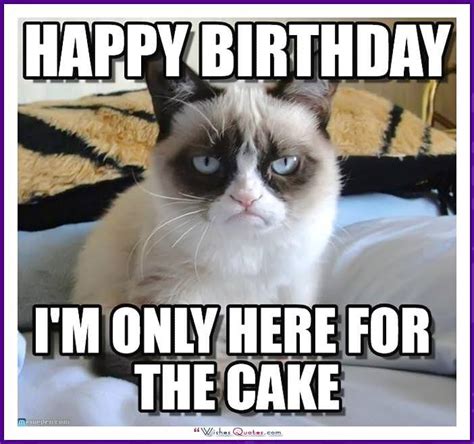 Happy Birthday Memes With Funny Cats, Dogs And Animals