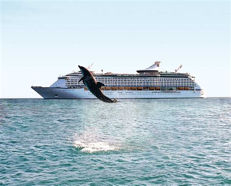 Royal Caribbean Adventure of the Seas cruise ship - Cruiseable