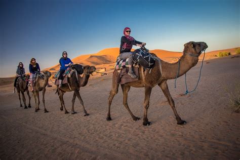 Bucket List: Ride a Camel in the Sahara Desert - Travel Guides ...