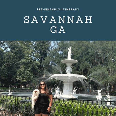 Pet-Friendly Travel Itinerary to Savannah, GA - Living A Fairytail