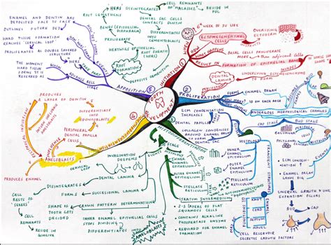 Figure 1 from Mind Mapping- an effective learning adjunct to acquire a ...