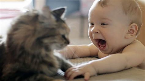 Chat et bébé : comment les faire cohabiter