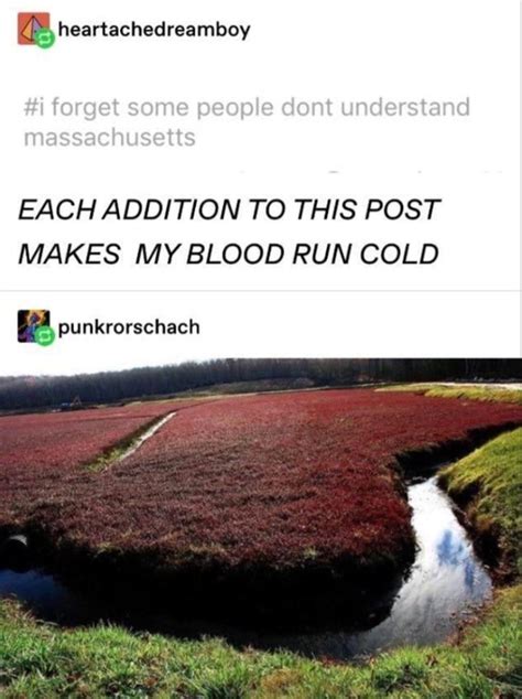 Wolf Spiders Of The Cranberry Bog: A Tumblr Thread