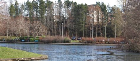 Tweedbank campsites | Best camping in Tweedbank, Scottish Borders