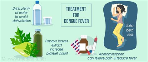 Dengue Fever: Symptoms, Causes, and Treatment | healze.com