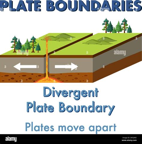 Divergent plate boundary with explanation illustration Stock Vector ...