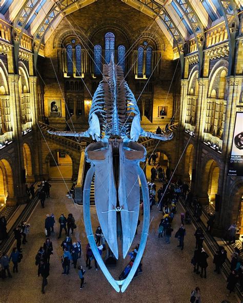 Top 25 free museums in London | British museum, British museum egypt ...