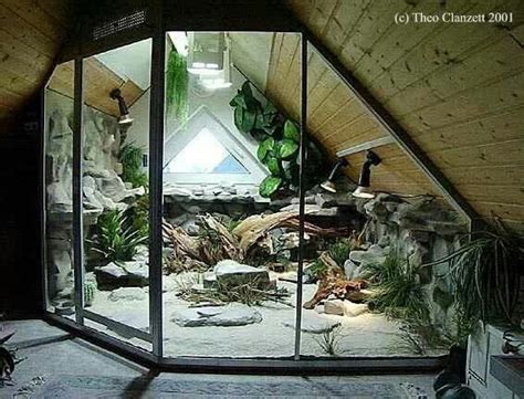 389 best Vivarium & Terrarium images on Pinterest