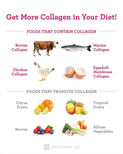 Plant Based Collagen Sources: Boost Your Skin Naturally - New Age Of ...