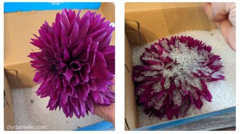 How to Dry Flowers with Silica Gel - DIY Danielle®